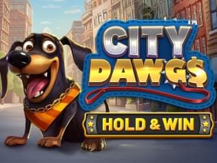 City Dawgs - Hold & Win thumbnail